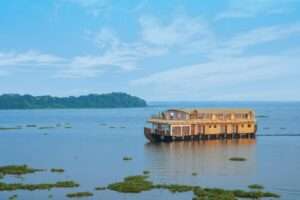 Niya Cruise - Luxury Houseboat in Alleppey