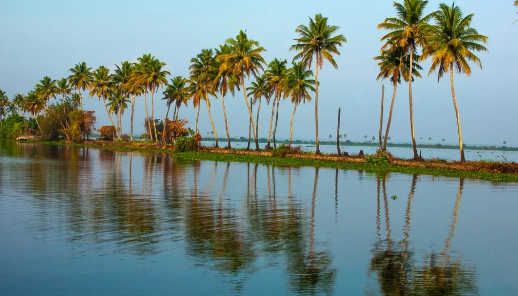 Luxury Houseboat Journey In Alleppey